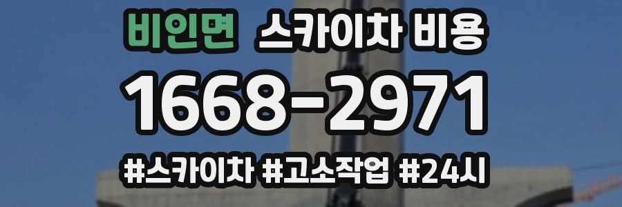 비인면 스카이차 비용