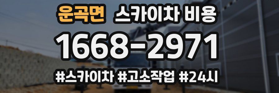 운곡면 스카이차 비용