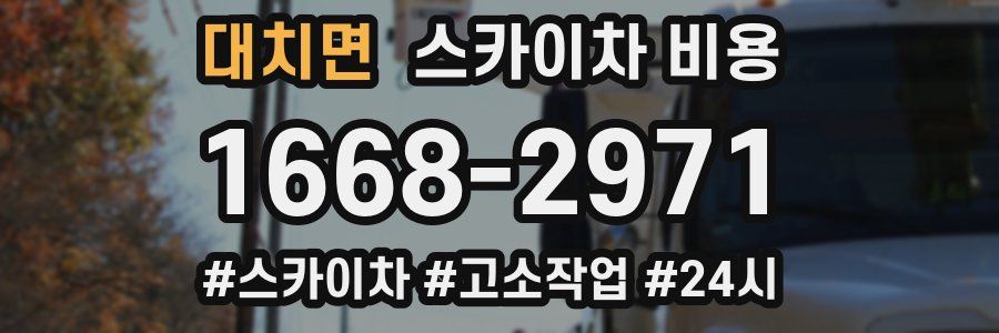 대치면 스카이차 비용