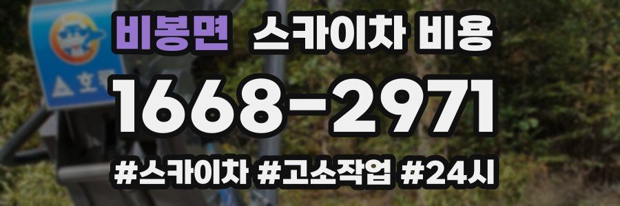 비봉면 스카이차 비용