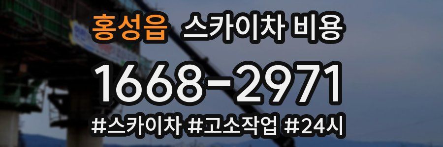 홍성읍 스카이차 비용