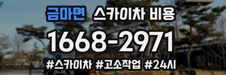 금마면 스카이차 비용