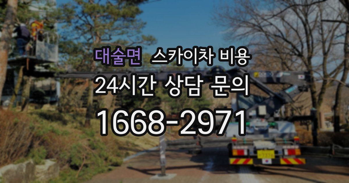 대술면 스카이차 비용