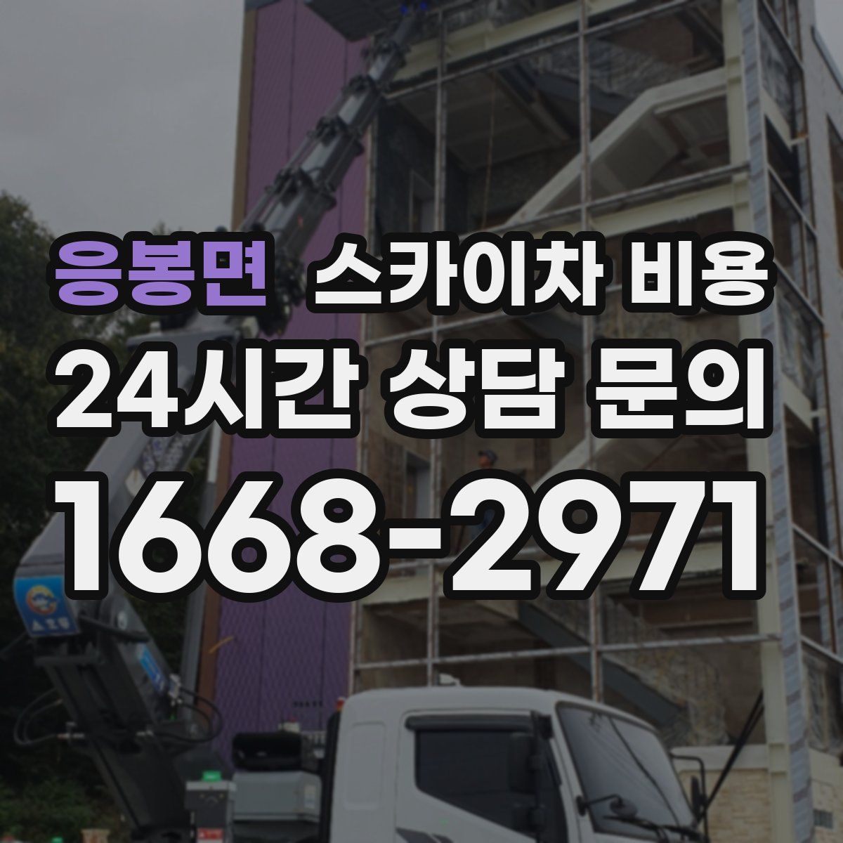 응봉면 스카이차 비용