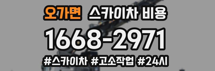 오가면 스카이차 비용