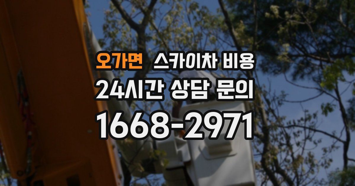 오가면 스카이차 비용