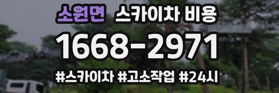 소원면 스카이차 비용