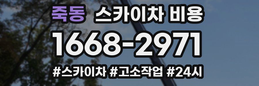 죽동 스카이차 비용