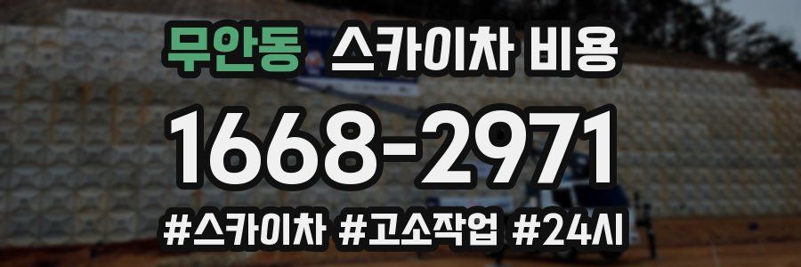 무안동 스카이차 비용