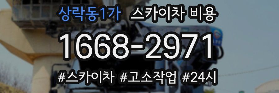 상락동1가 스카이차 비용