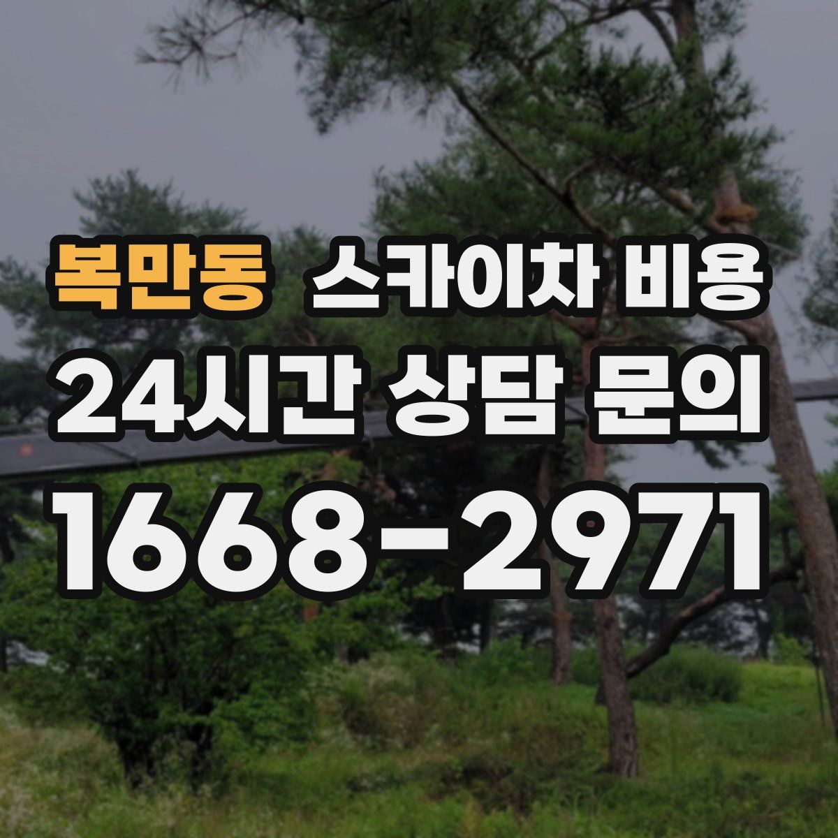 복만동 스카이차 비용