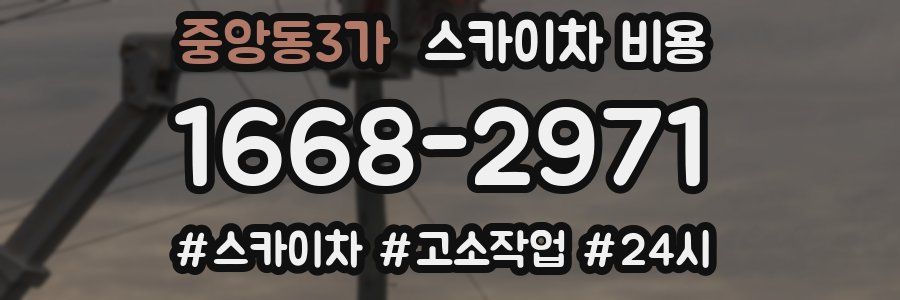 중앙동3가 스카이차 비용