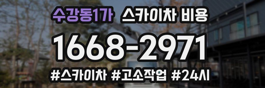 수강동1가 스카이차 비용