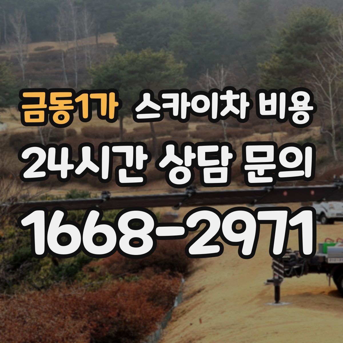 금동1가 스카이차 비용
