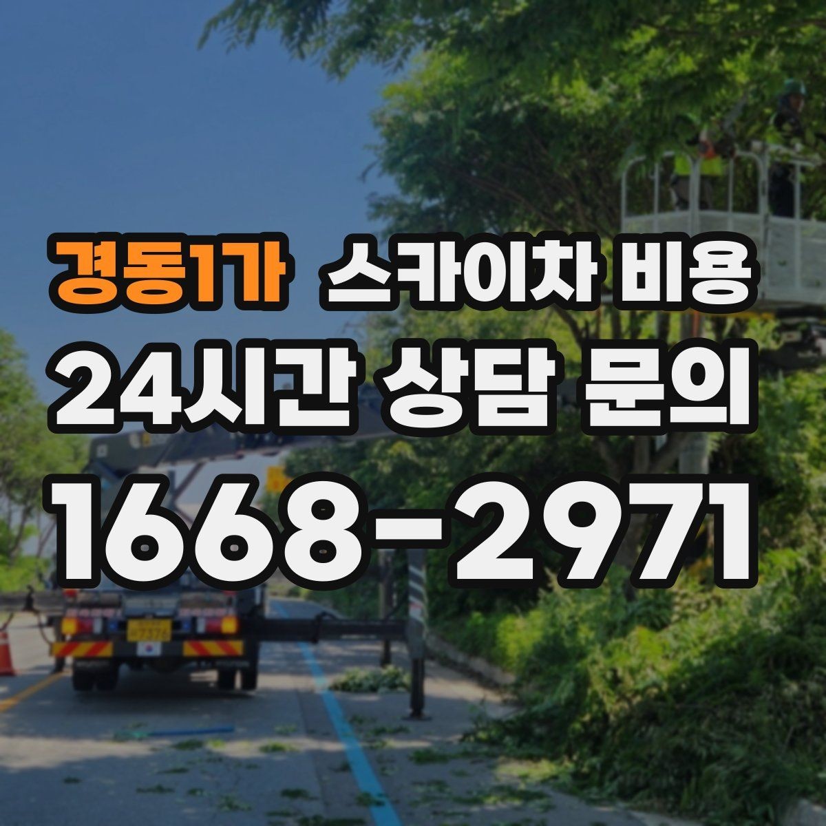 경동1가 스카이차 비용 '가능 높이'만 보고 선택하면 안 되는 이유