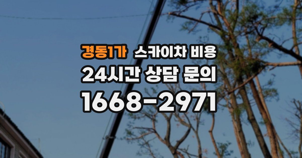 경동1가 스카이차 비용