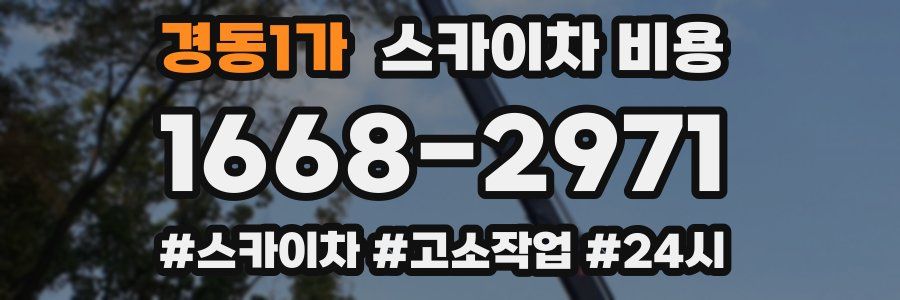 경동1가 스카이차 비용