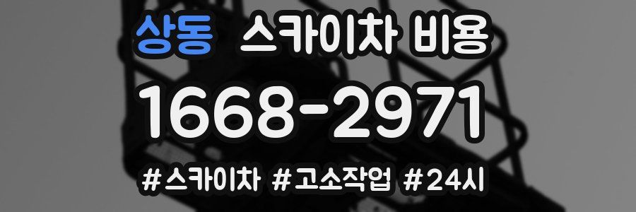 상동 스카이차 비용