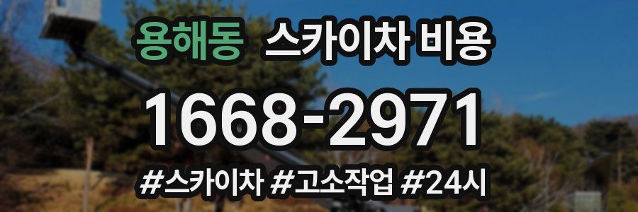 용해동 스카이차 비용