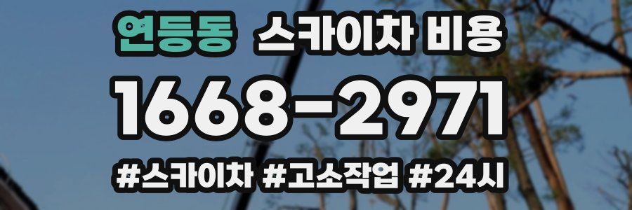 연등동 스카이차 비용