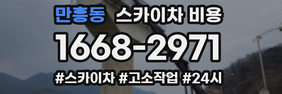 만흥동 스카이차 비용