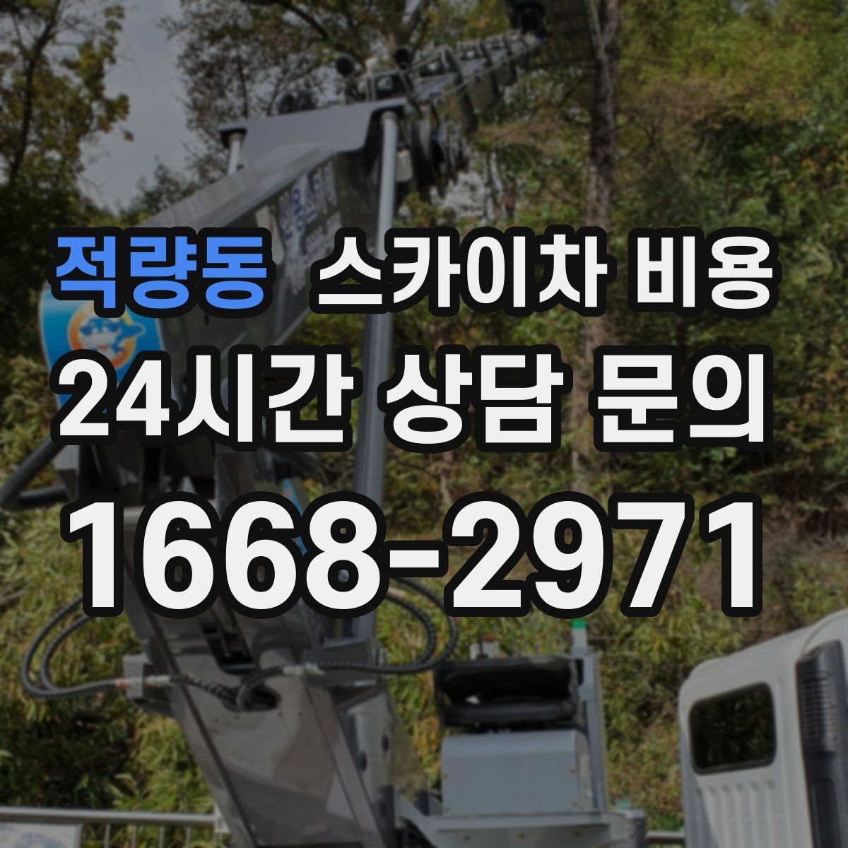 적량동 스카이차 비용 견적 비교할 때 놓치기 쉬운 함정