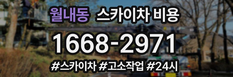 월내동 스카이차 비용