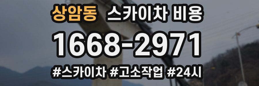 상암동 스카이차 비용