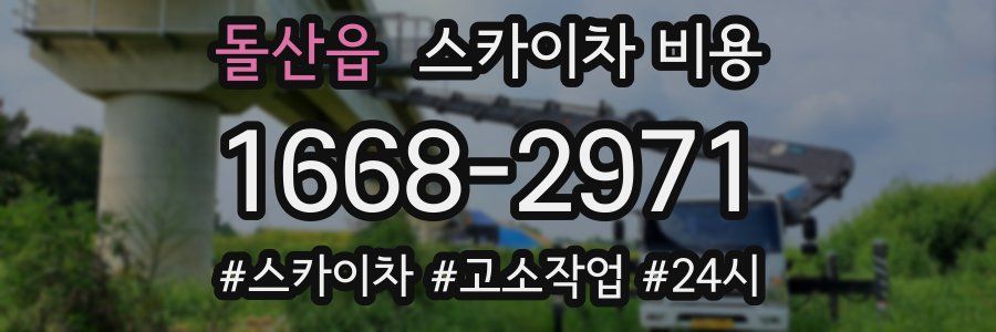 돌산읍 스카이차 비용