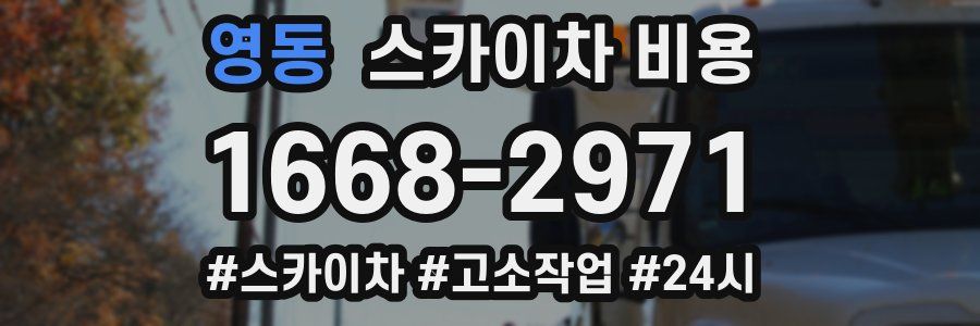 영동 스카이차 비용