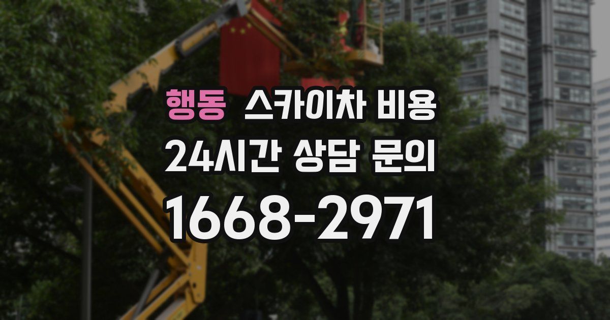 행동 스카이차 비용