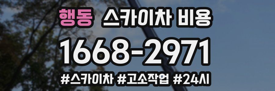 행동 스카이차 비용