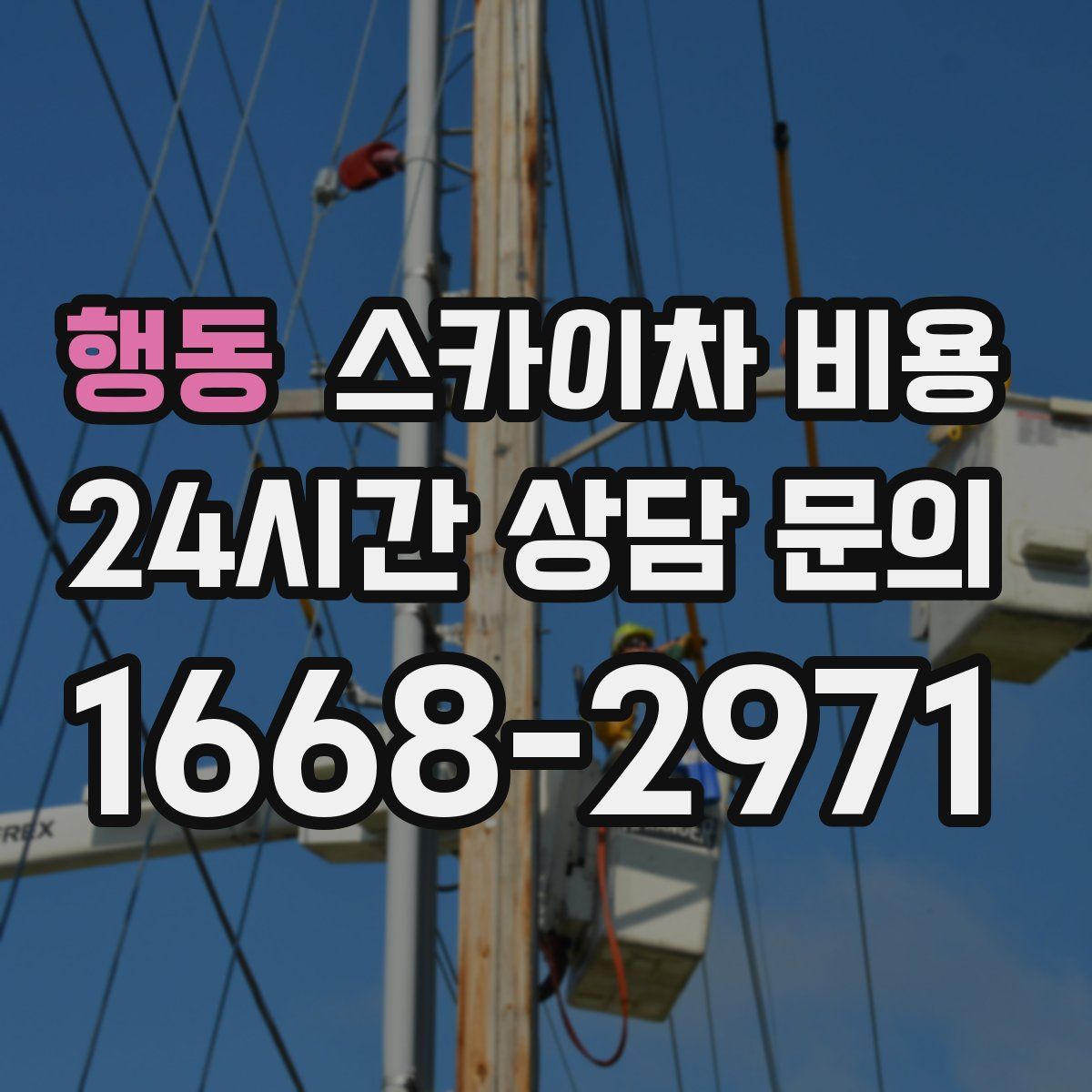 행동 스카이차 비용