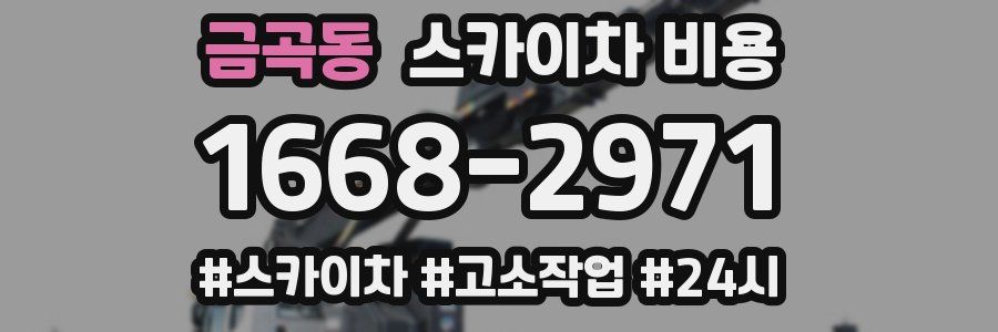 금곡동 스카이차 비용