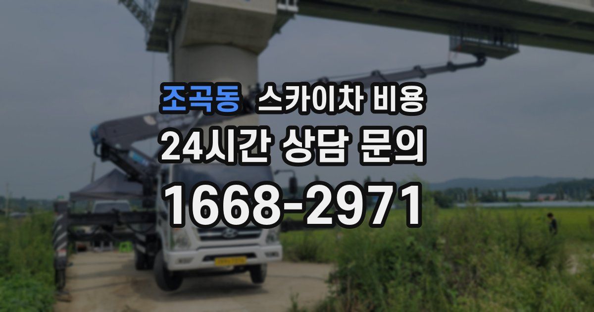 조곡동 스카이차 비용