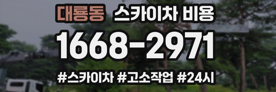 대룡동 스카이차 비용