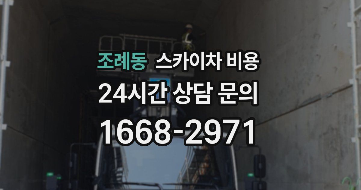 조례동 스카이차 비용