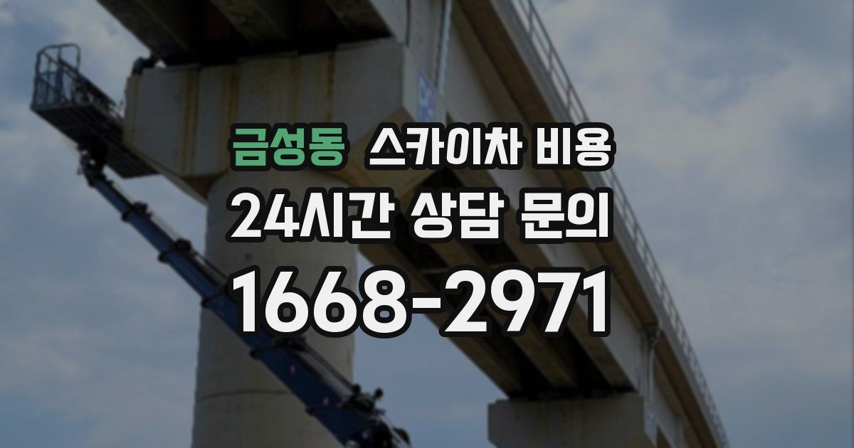 금성동 스카이차 비용