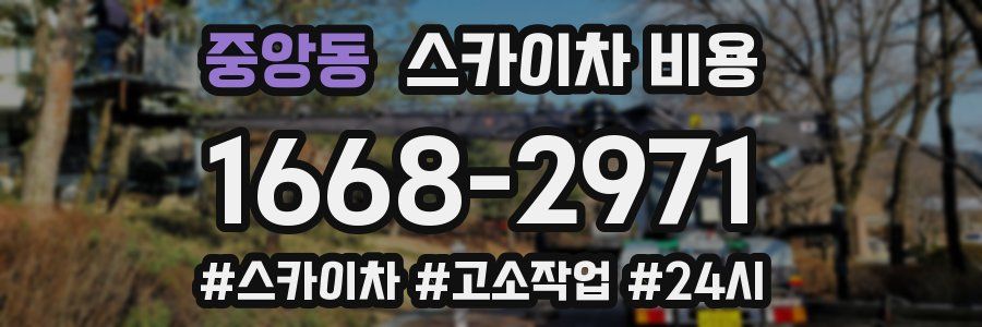 중앙동 스카이차 비용