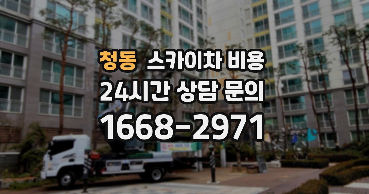 청동 스카이차 비용