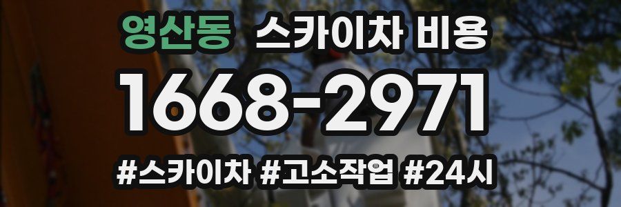 영산동 스카이차 비용