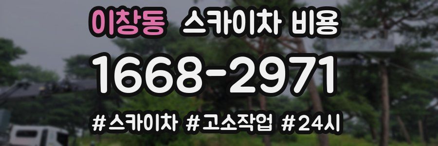 이창동 스카이차 비용