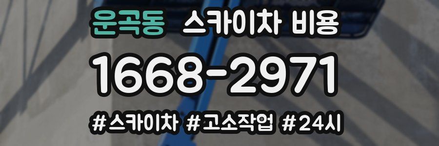 운곡동 스카이차 비용