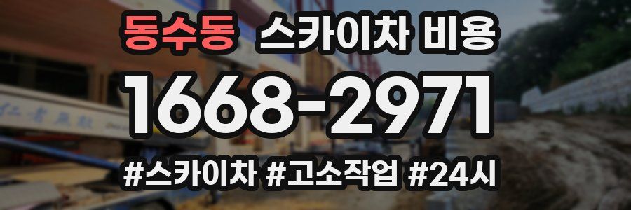 동수동 스카이차 비용