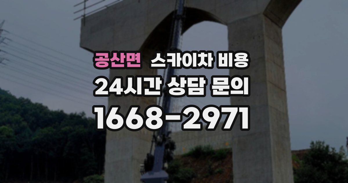 공산면 스카이차 비용