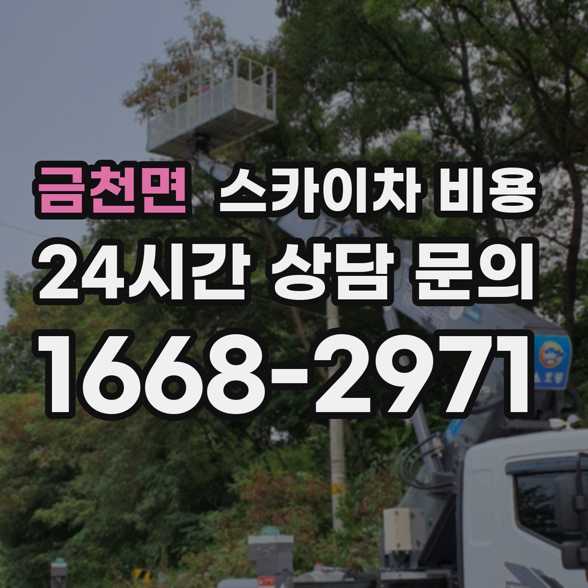 금천면 스카이차 비용