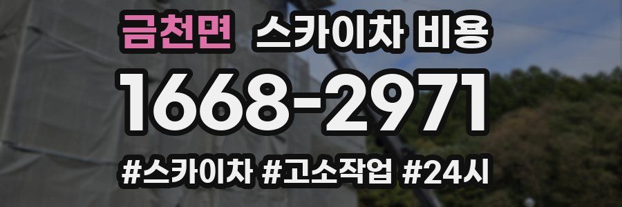 금천면 스카이차 비용