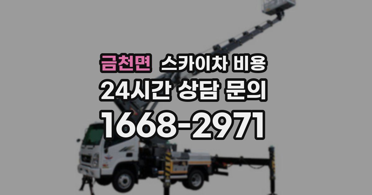 금천면 스카이차 비용