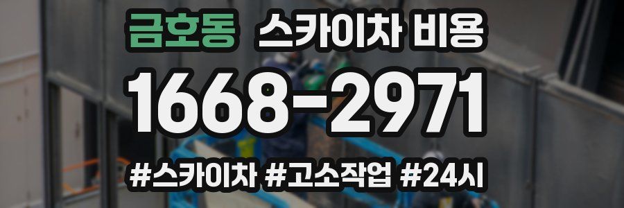 금호동 스카이차 비용