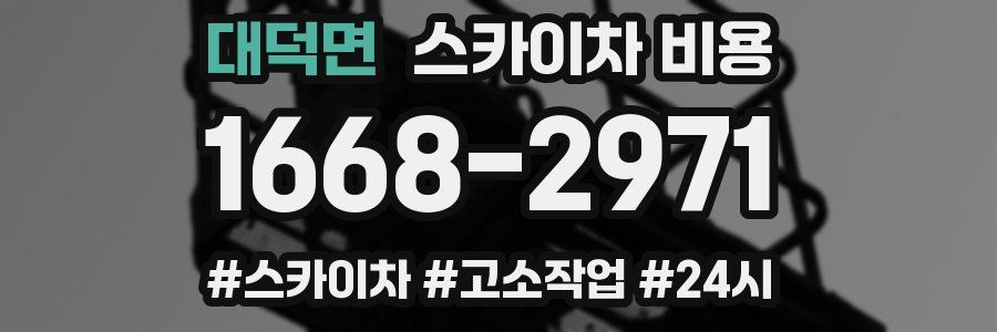 대덕면 스카이차 비용